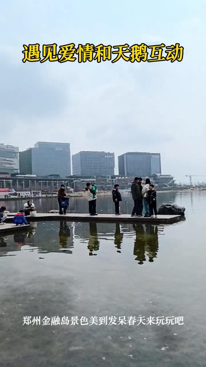 遇见爱情和天鹅互动。郑州金融岛景色美到发呆，春天来玩玩吧。