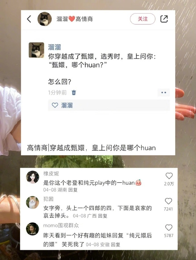 网友的嘴是真好用啊