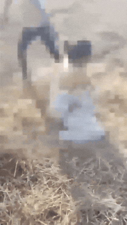 印度女警察也被暴徒公然扒衣服：衣不蔽体求饶，再次刷新人类下限！1月2日据印度媒体