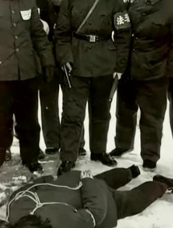 1980年，辽宁省政府机关大院的哨兵击毙了一个可疑人员，谁知，案件水落石出后，这