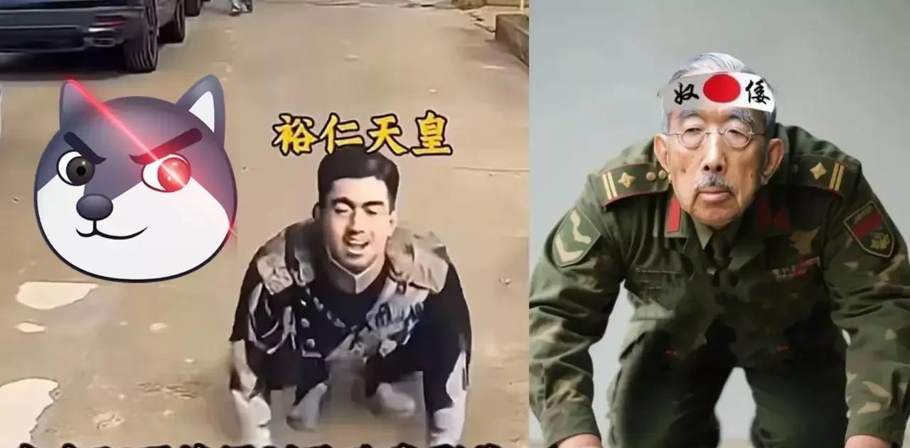 网上最全天皇“宠物”照！看看还有补充的吗？这两天，天皇的形象可被宠坏了！可笑日