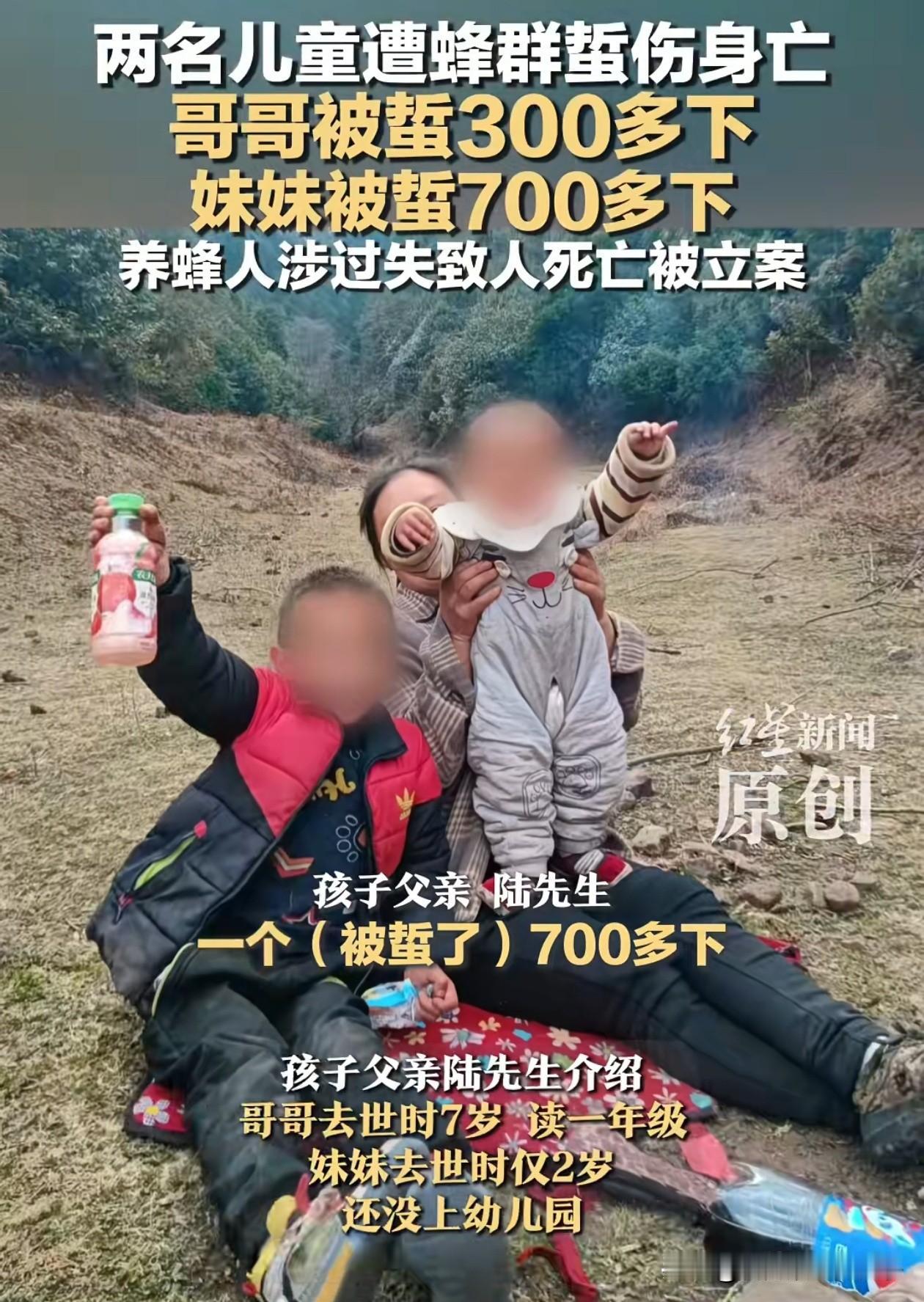 云南兄妹两人被马蜂蜇死后续，养蜂人李先生说200万的赔偿太高，他养蜂去年一年才挣