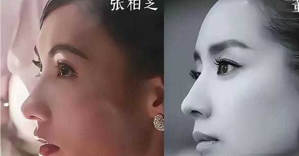 一个人拉扯大三个儿子，到了快奔五十的年纪，张柏芝居然又风风光光杀回了台前。网上天天在比哪个小花鼻子挺