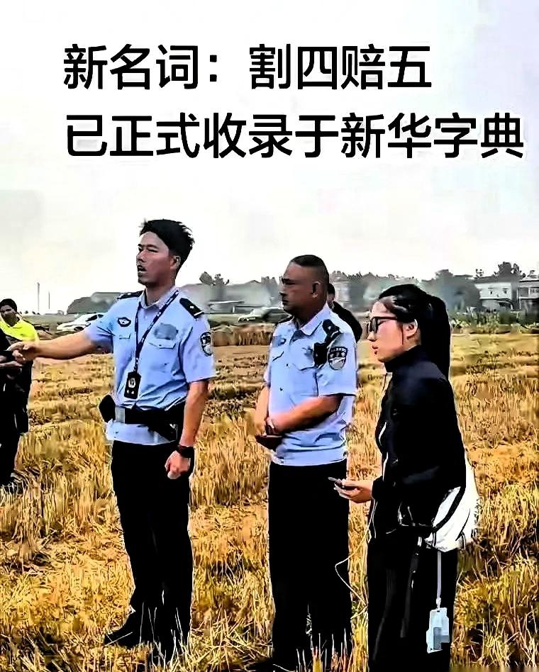 襄阳收割机那事，出了个更狠的续集。一个本地大哥，说网上传的都是瞎说，开直播非要