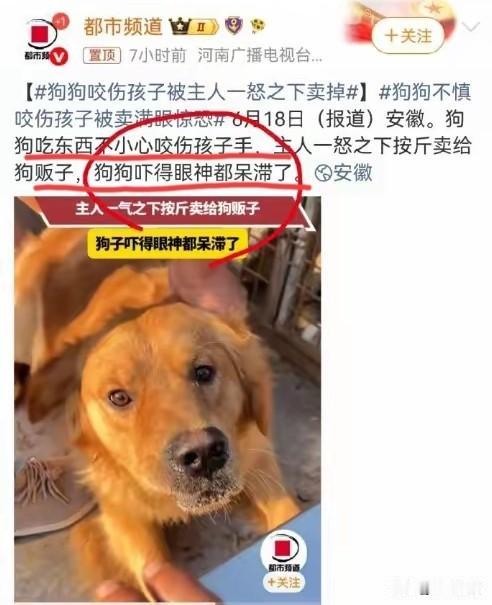 现在有些媒体，吃相确实太难看了！对于狗咬了小孩，不去关心受伤的孩子，又是忍着疼