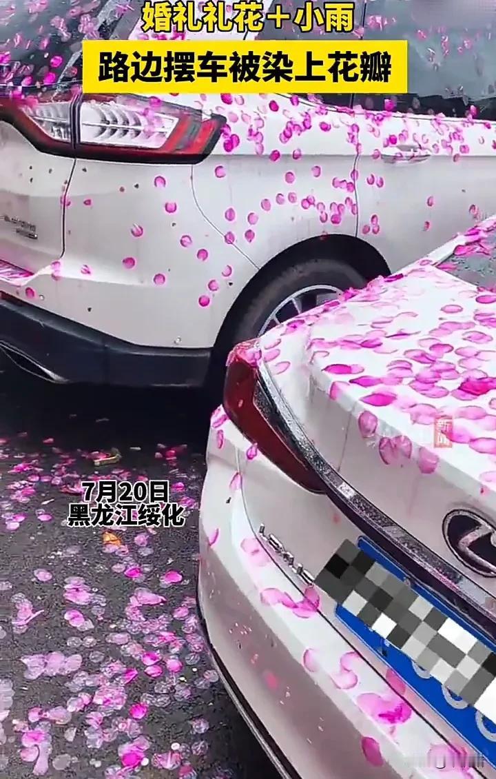 太崩溃了！7月20日，黑龙江绥化一对新人结婚当天，撒了不少礼花，很多都撒在了停在