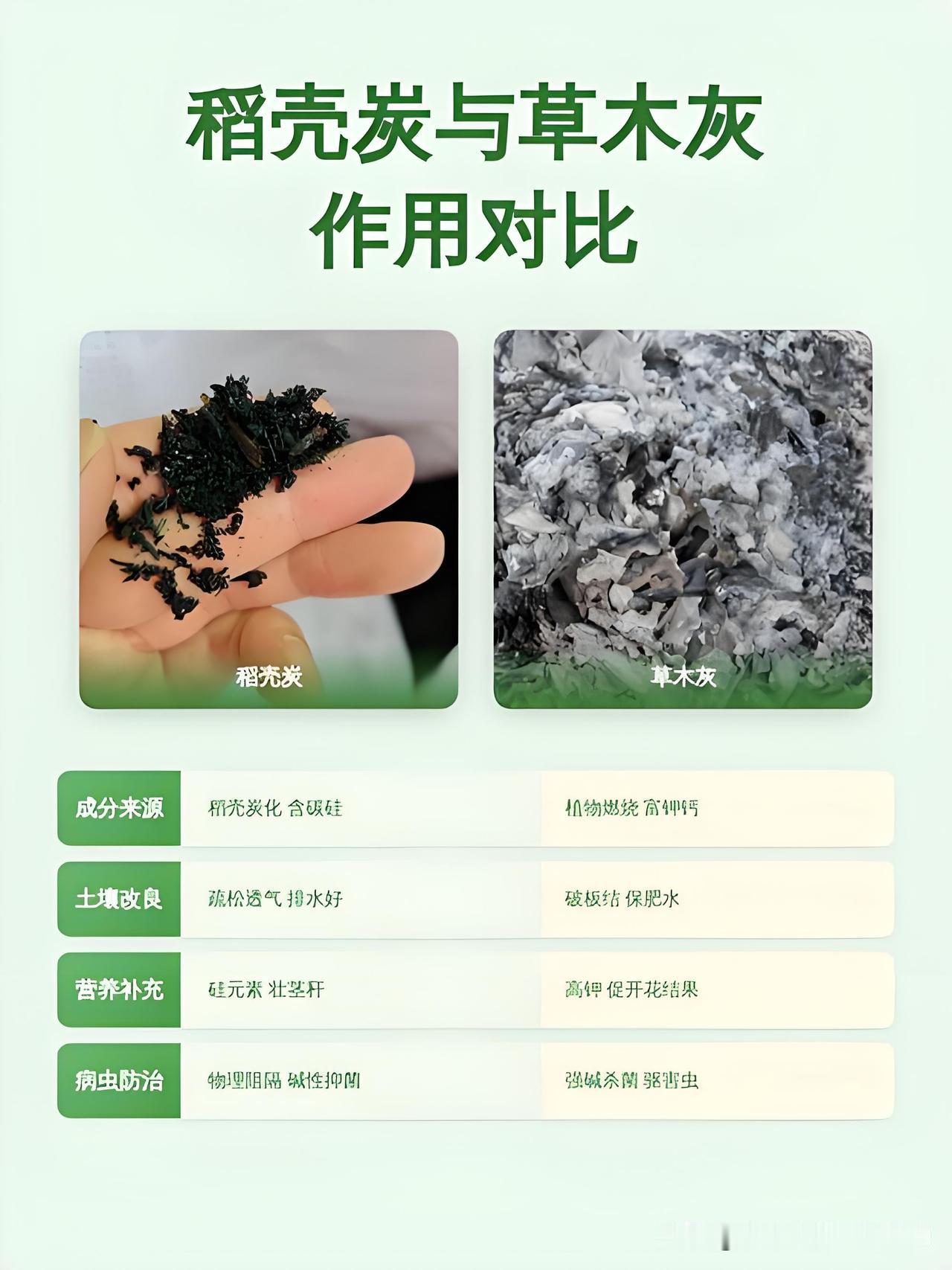 知道为什么种菜逼着我选稻壳炭？我实测后发现这宝贝更省心我之前在网上买草木灰