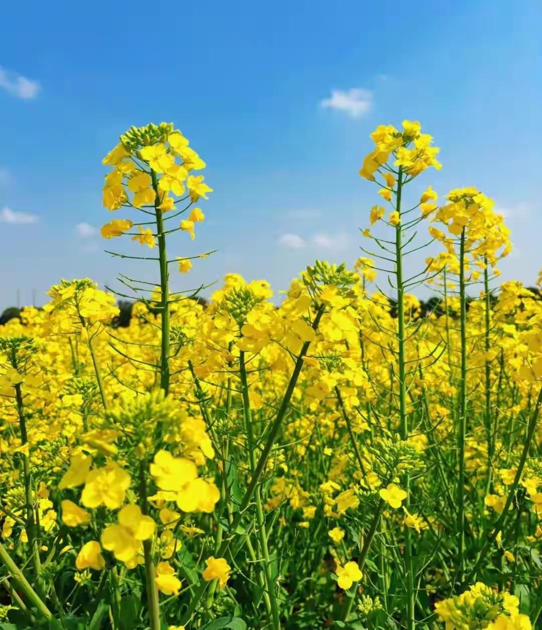 帮孩子戒掉网络游戏：温和有效、不吼不骂、不伤亲子关系1. 先别“一刀切”，