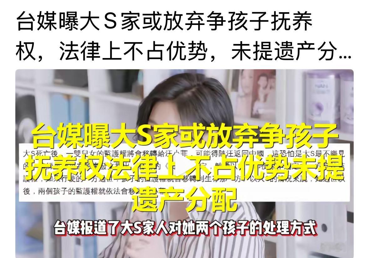 S家的人做事情也是变化很快，孩子们的抚养权，突然，就转移给小菲了。人家真的是说到