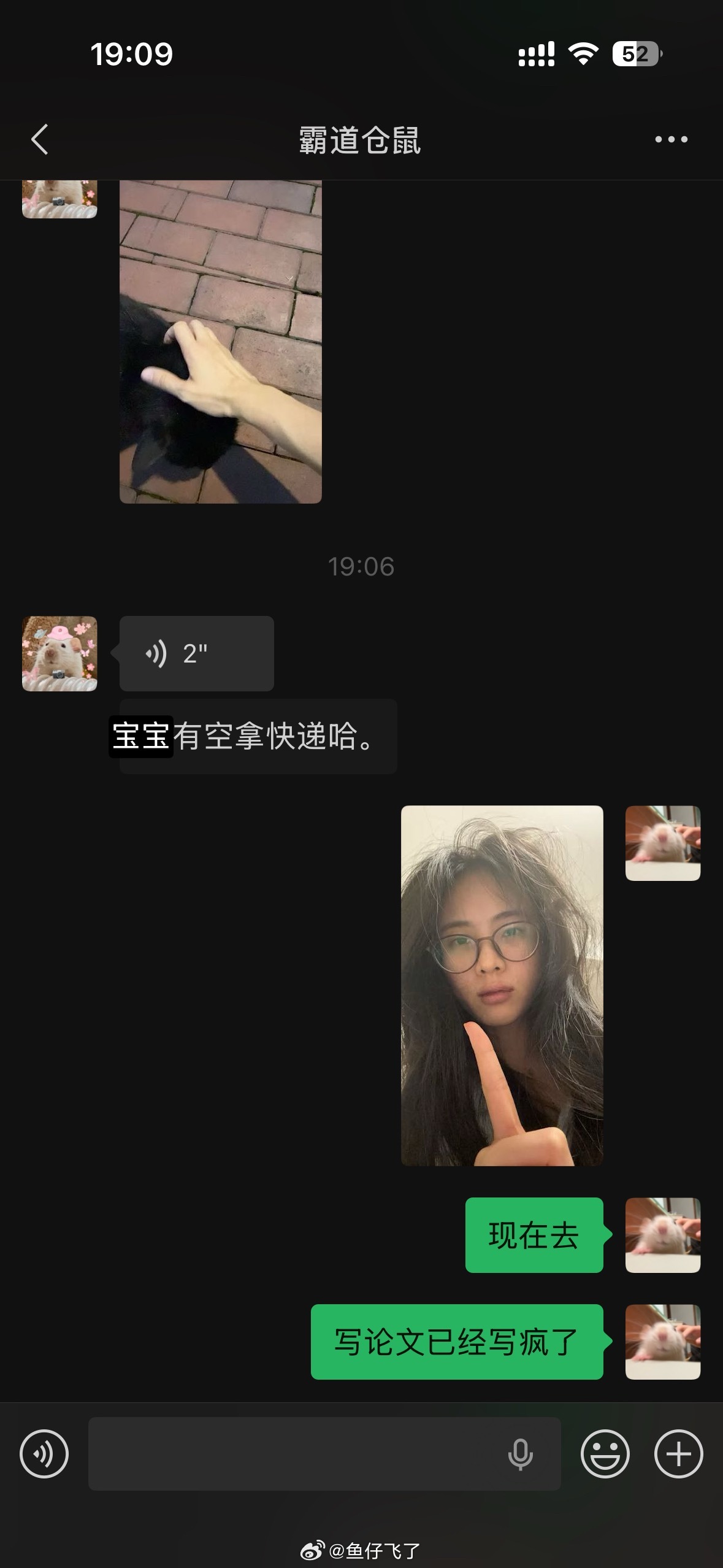 每天疯疯癫癫的