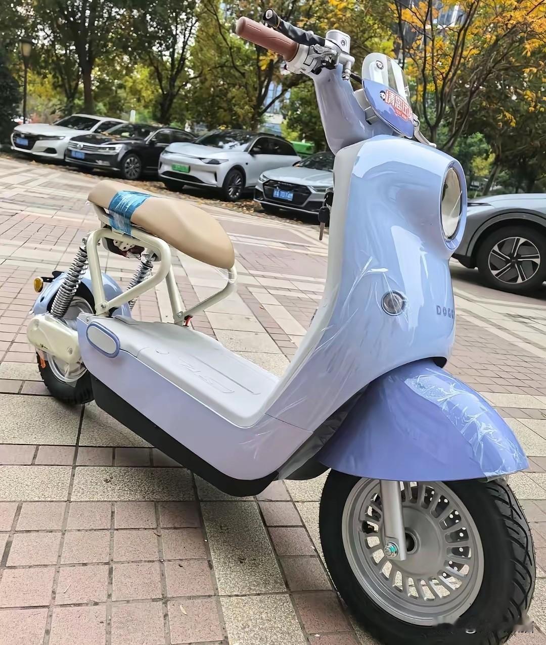 新国标电动车已经上市，买或者不买，以后市场上都将是这样的规格。这次市场的遇冷