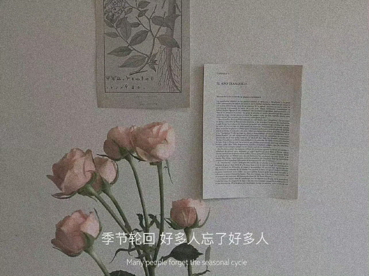 婚姻的真相：成长，还是原地踏步？婚姻到底是什么？是两个人从初见时的心跳加速，到日