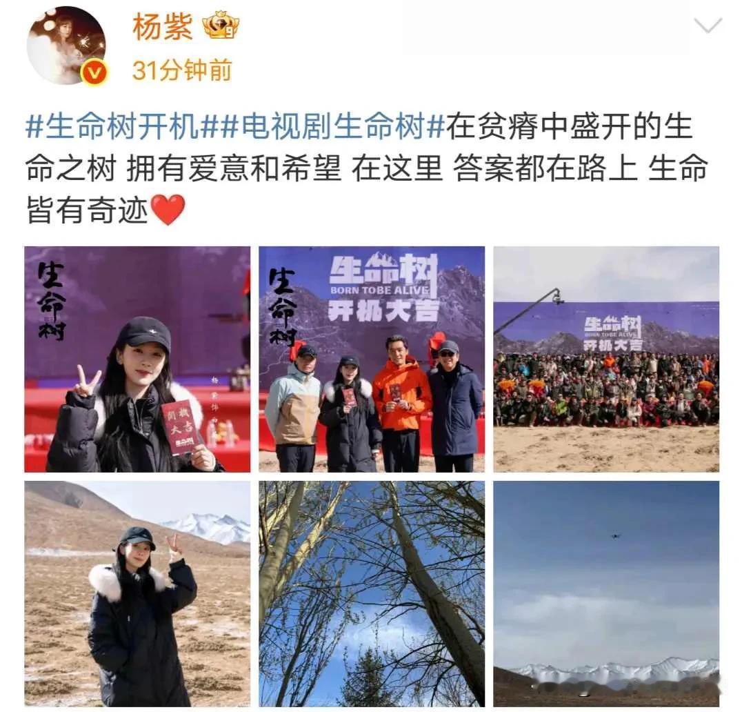 生命树在青海开机，杨紫，胡歌，李光洁，杨烁，侯鸿亮等人出席，拍摄地点环境比较恶劣