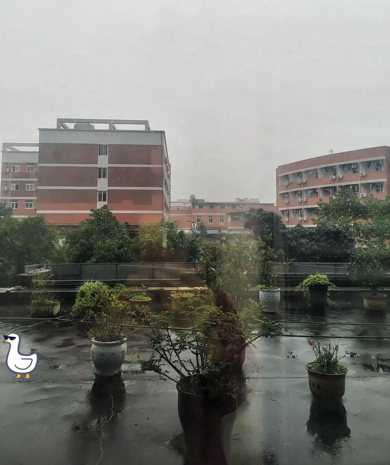 成都！这下彻底火出圈，居然不是靠火锅熊猫！央视都报道了，成都入秋以来日均日