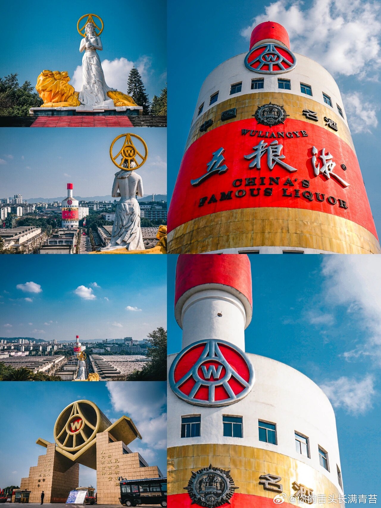 五粮液抗血栓？2022年，一篇论文登上了Nature子刊《npjScienc