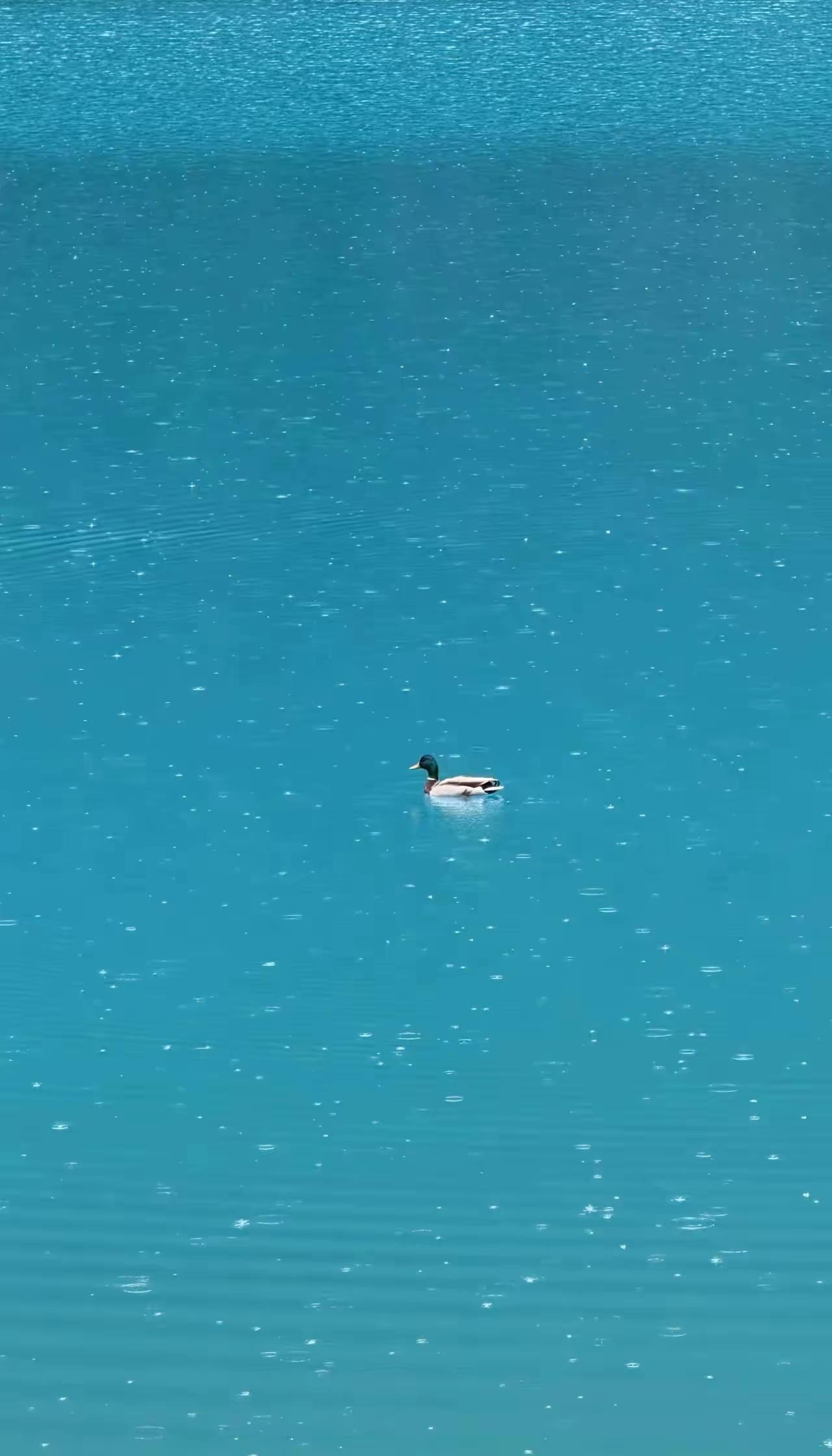 经济学家说:“一旦发生战争，银行的存款大概就没有了。历史表明，一旦发生战争，金