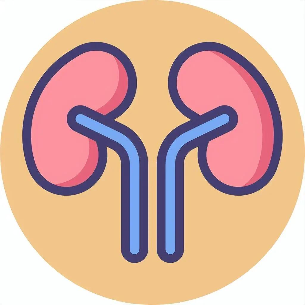 如何补肾有说法，一文帮你理清补肾的顺序1、补肾先疏肝辨证：肝脏主管身体气机的