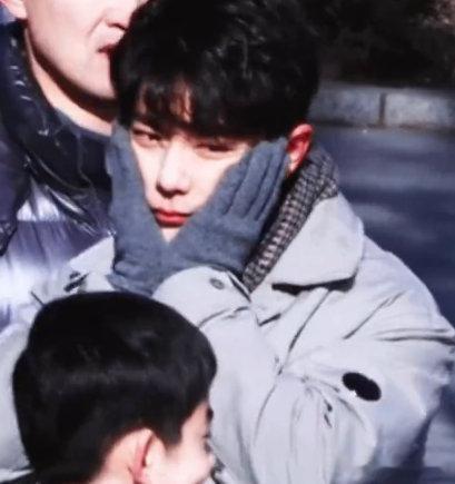 肖战不是兔子是什么？