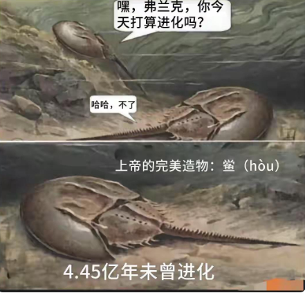 这好像没有了，灭绝了吧？？