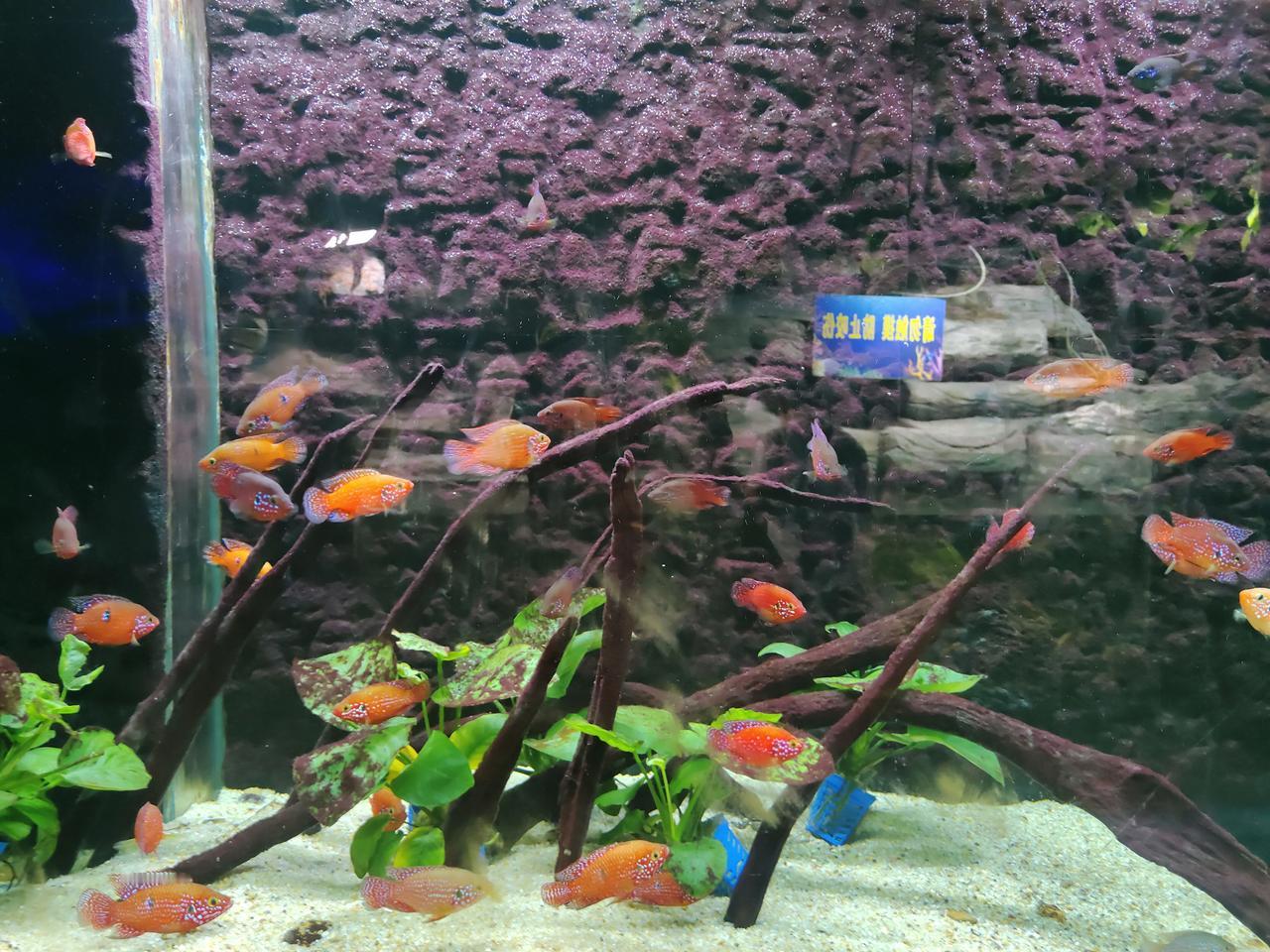 人与人之间最珍贵的，从不是光鲜的礼物或甜腻的话语，而是一份真心的相待。是遇