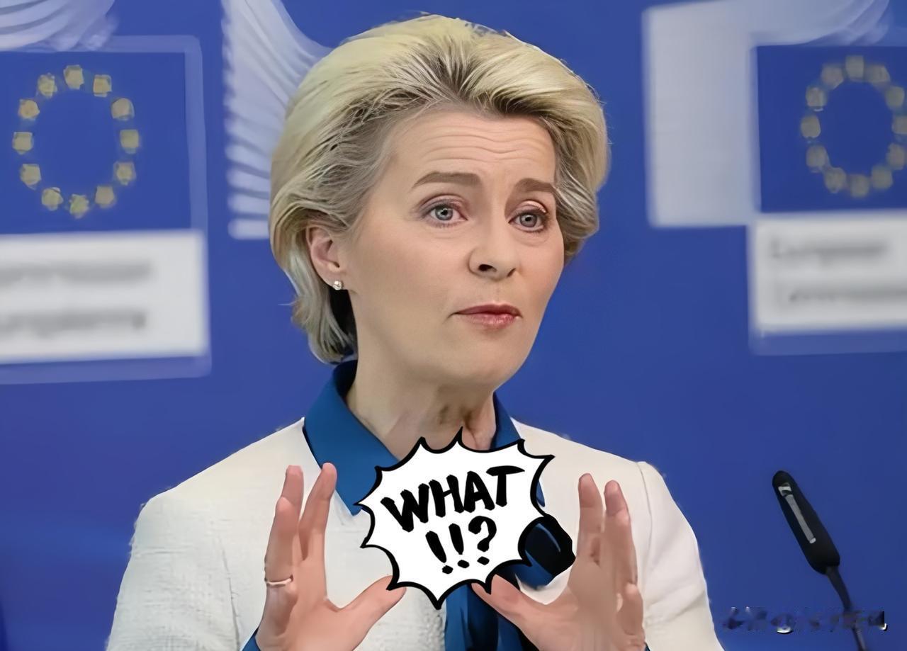 就在刚才，欧盟在世贸组织突然对外宣布！