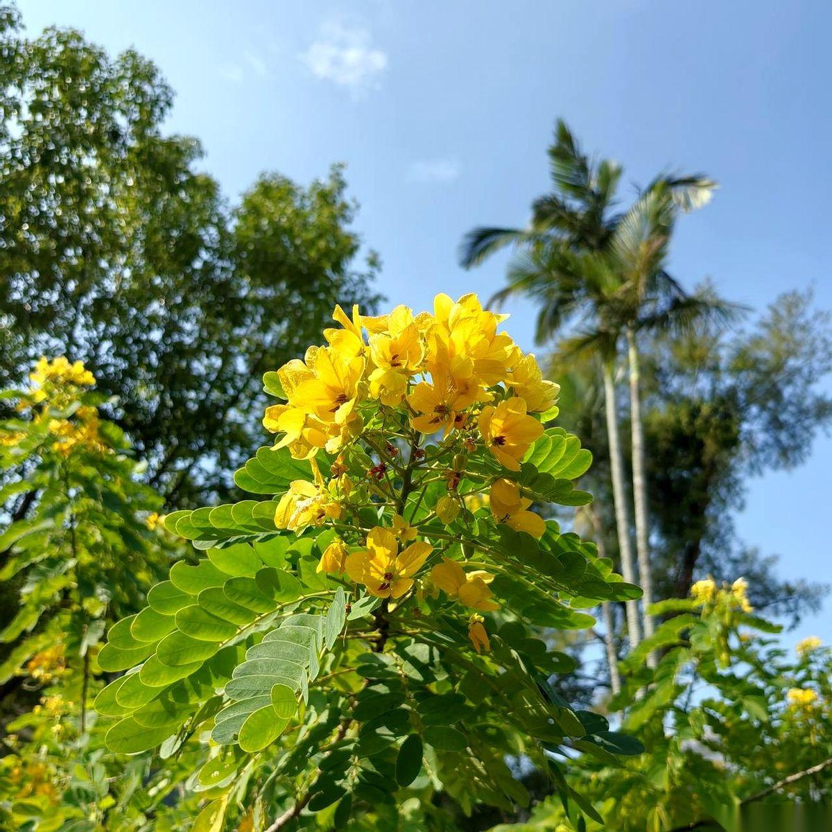 一对保姆，两口子，跟了一个老太太二十多年。你敢信吗？从老太太不到七十岁，就有