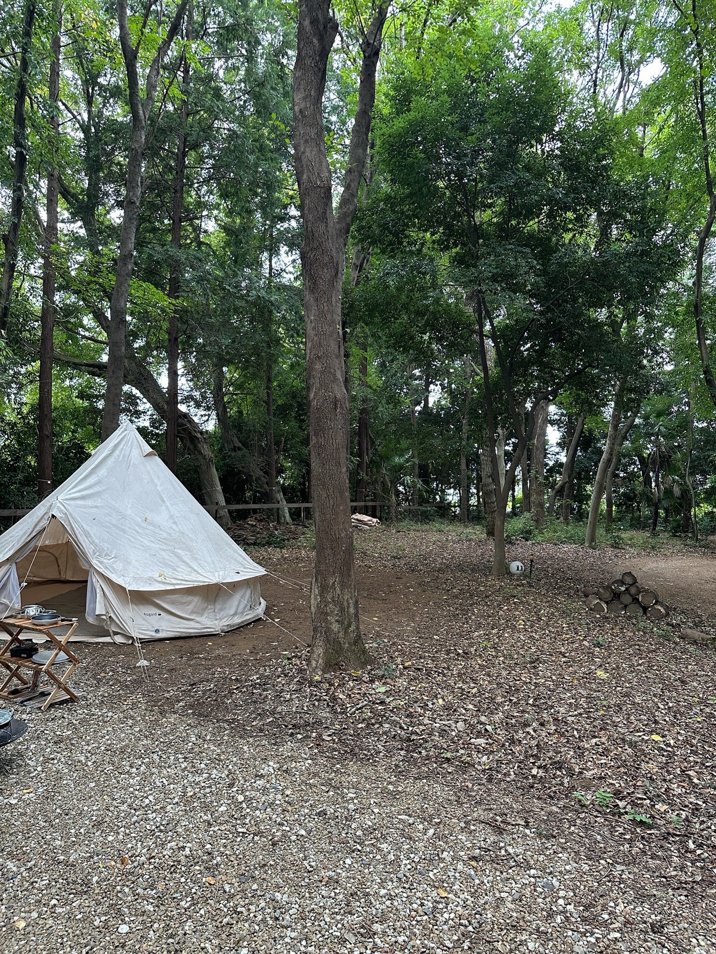 梅澤美波「🍂YouTubeにソロキャン動画がアップされてます〜良い日でした