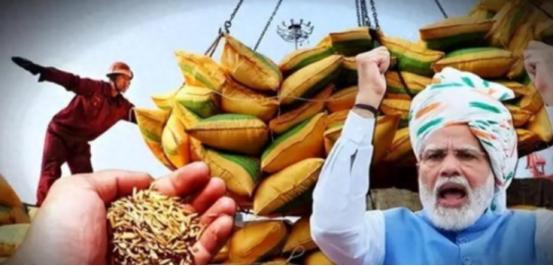 中印两国都顶着14亿人口的盘子，粮食账却算出了截然不同的结果：中国年产7亿吨粮还