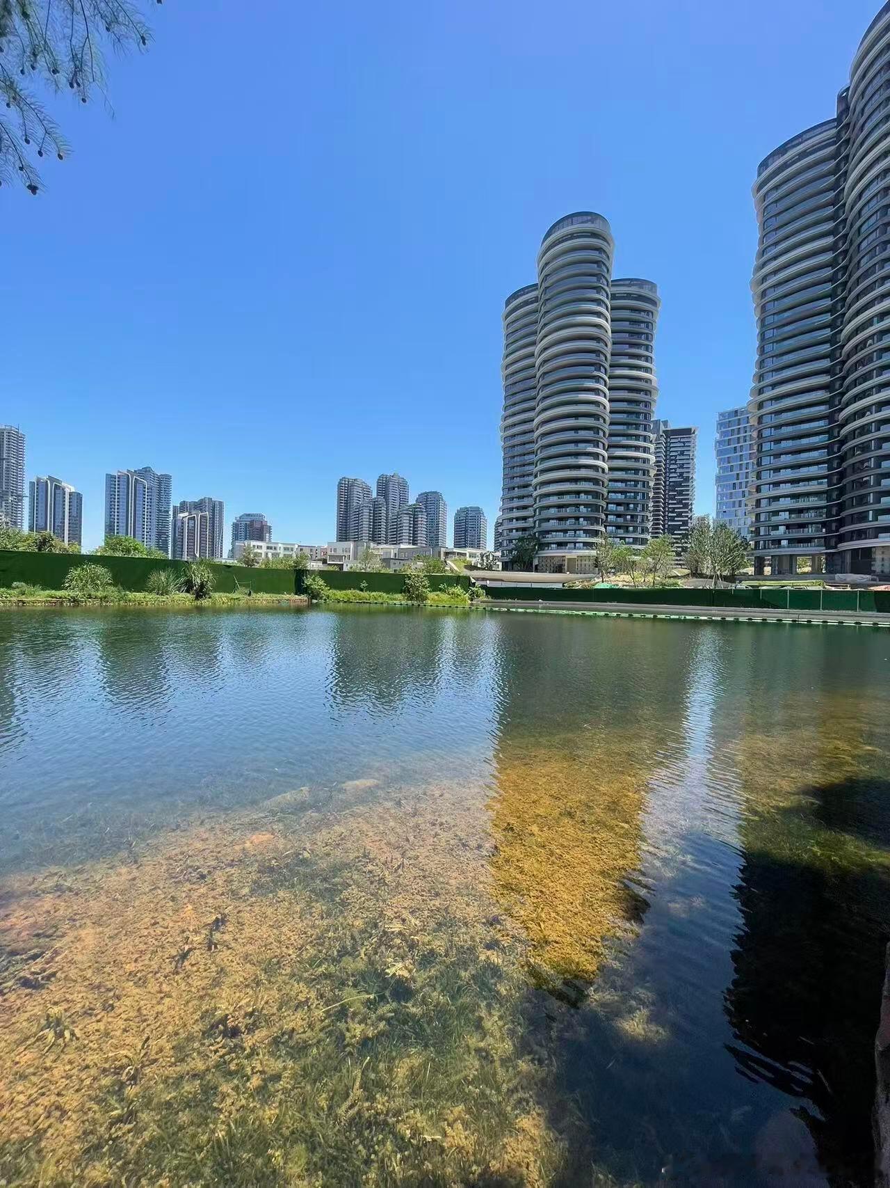 群友前几天投稿：“刚才去购房通和房小团搜索了下麓湖以前开盘售馨的盘，看看当时的购入价格，居然一个都搜