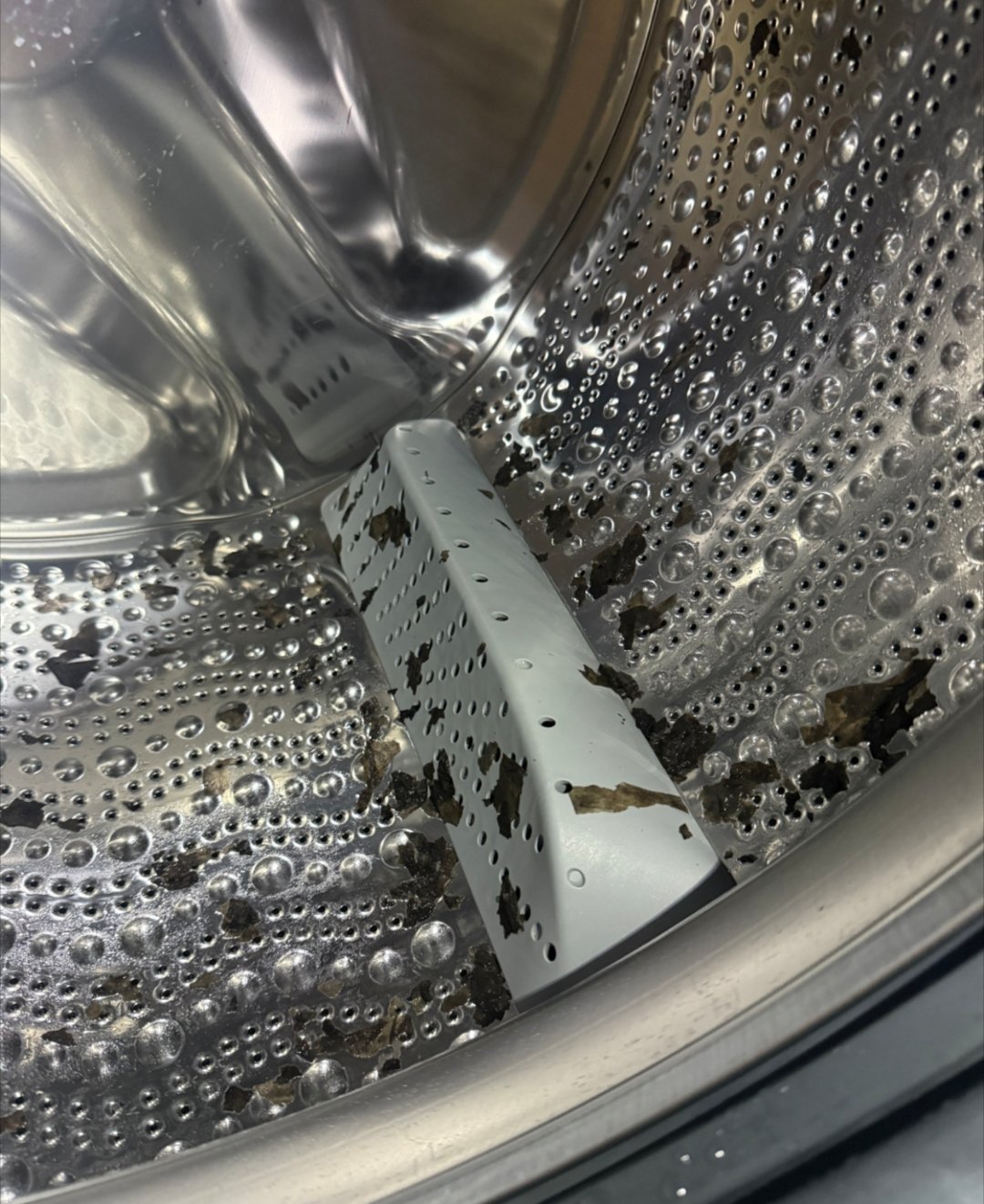 洗衣机里像紫菜的东西是什么刚刷到洗衣机里洗出紫菜状的东西，我才发现自家洗衣机也有