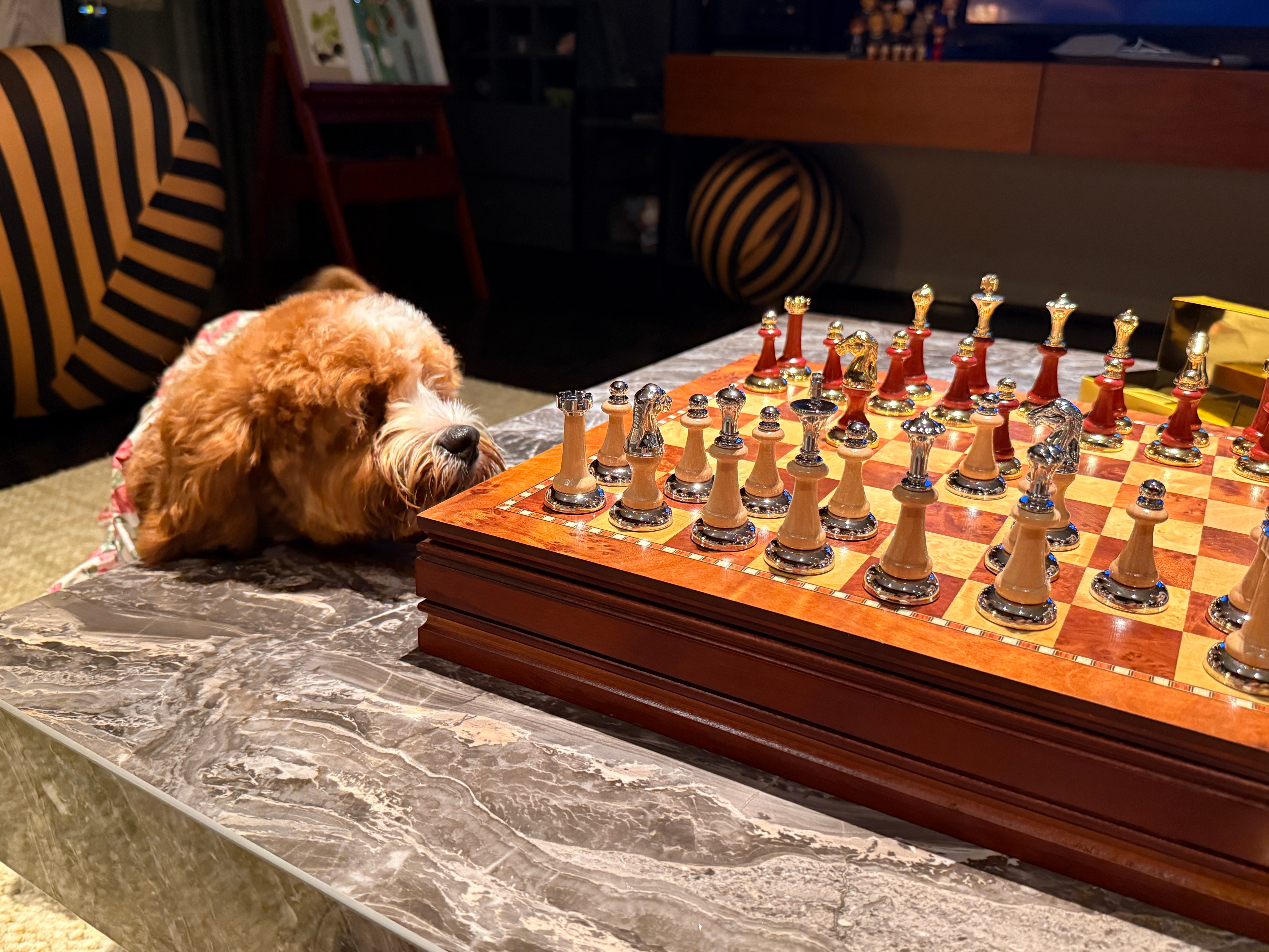 我的女仆在偷窥我的棋子​​​