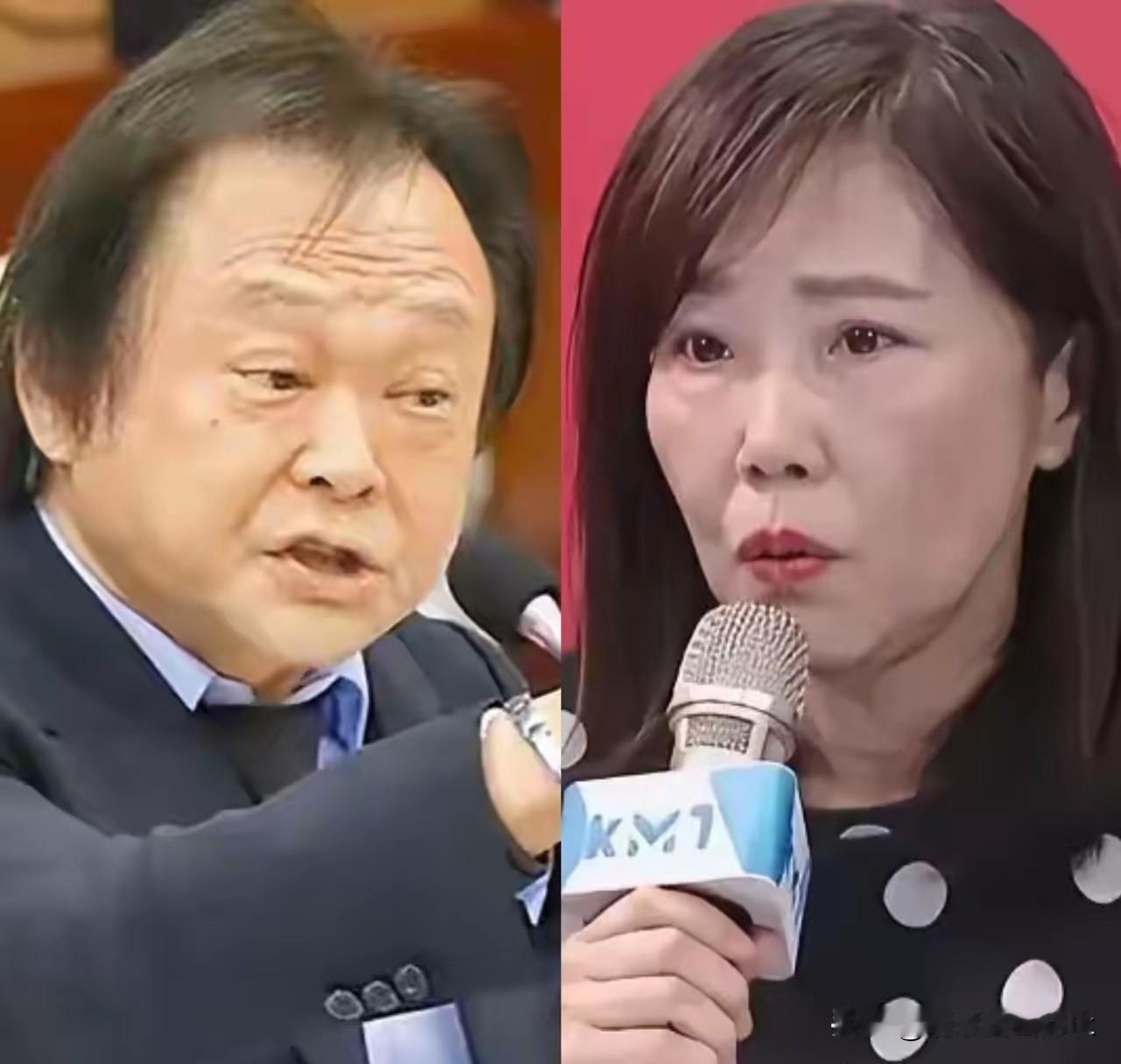 怒喷王世坚！一名“没出息”的台湾政客喊出：台湾要主权独立！国民党发言人尹乃青