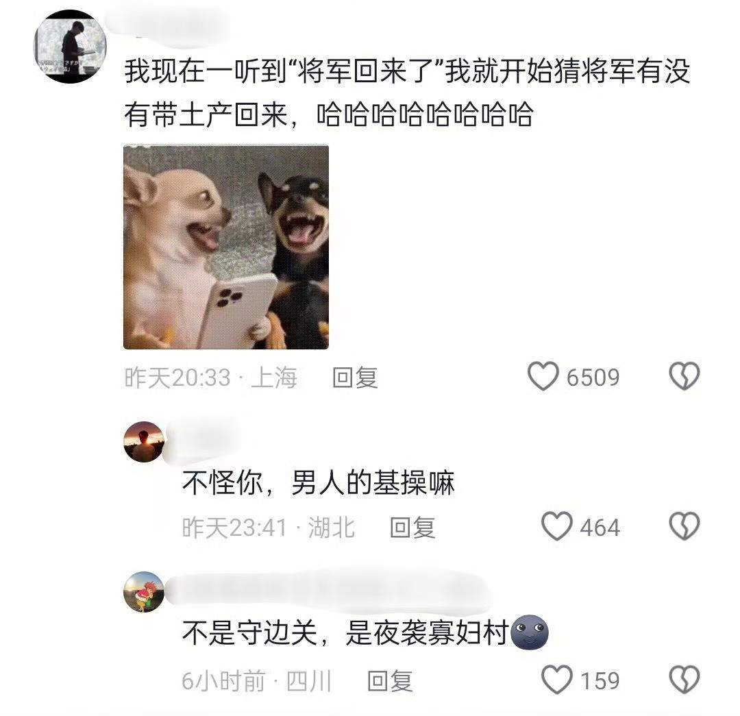 小说电视剧里的将军的作用就是打完胜仗带个女人回来[笑着哭]​​​