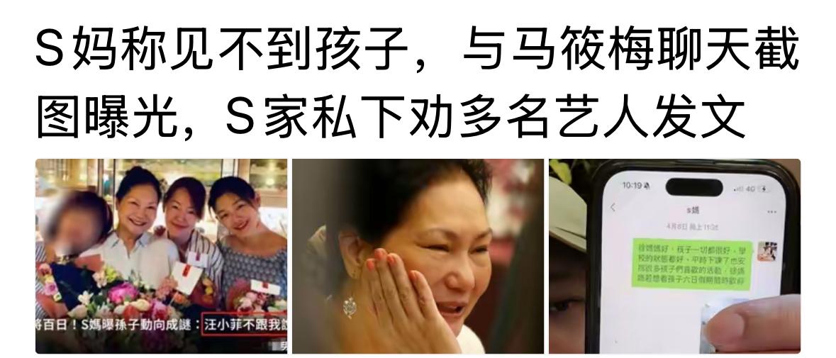 真的是很矛盾，徐妈妈说，见不到大S的孩子们。什么情况，好了，小梅马上把聊天记录截
