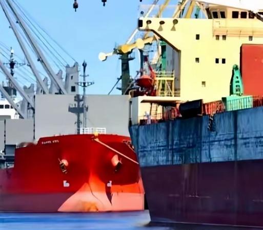 拒收巴西的大豆！要说哪个国家在中美贸易战中获利很多，除了印度，能排上号的也就剩下