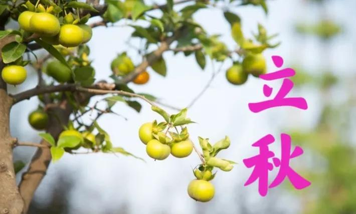 听人劝:立秋要“躲秋”，到底躲啥？答案来了今天已经到8月5号了。从日历上看，今