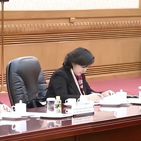 美女外交官在中法双边外事活动中的风采 12月4日，在中法双边外事活动中，我们