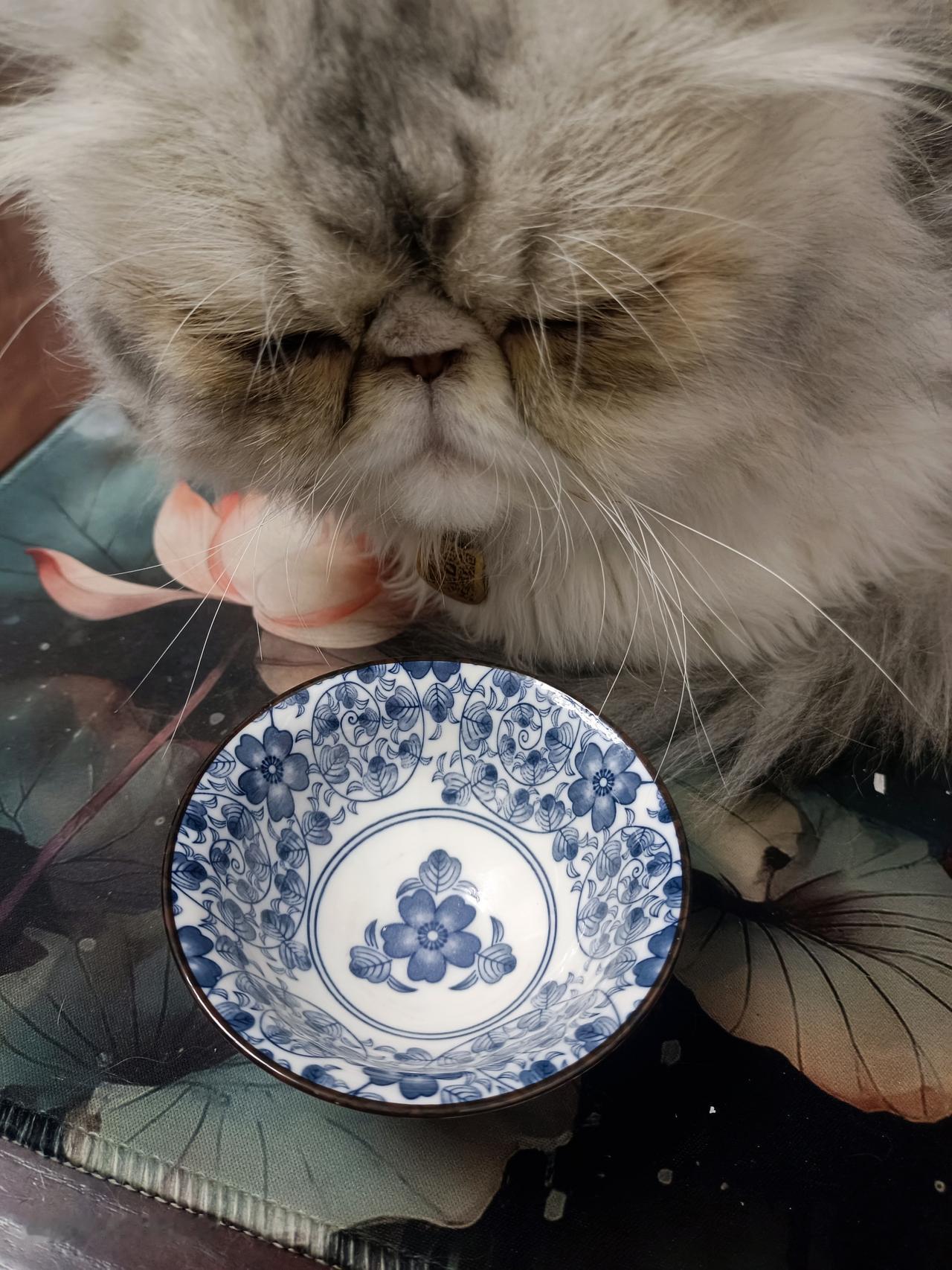 喝茶是个神秘的事。如果你用水杯喝茶，可能一杯都喝不进去。但是你用小茶盏喝茶能喝