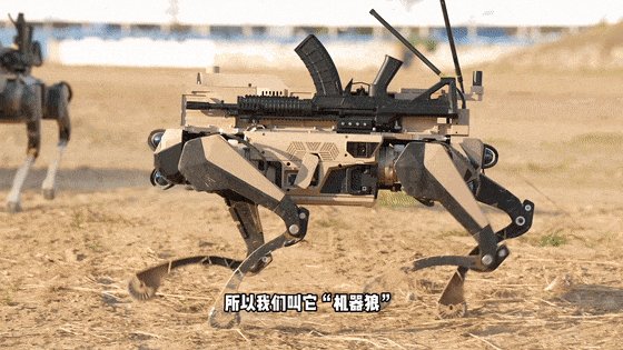 3月31日，据央视军事网站报道，中国🇨🇳自主研发机器狼群巷战画面首次公开亮相