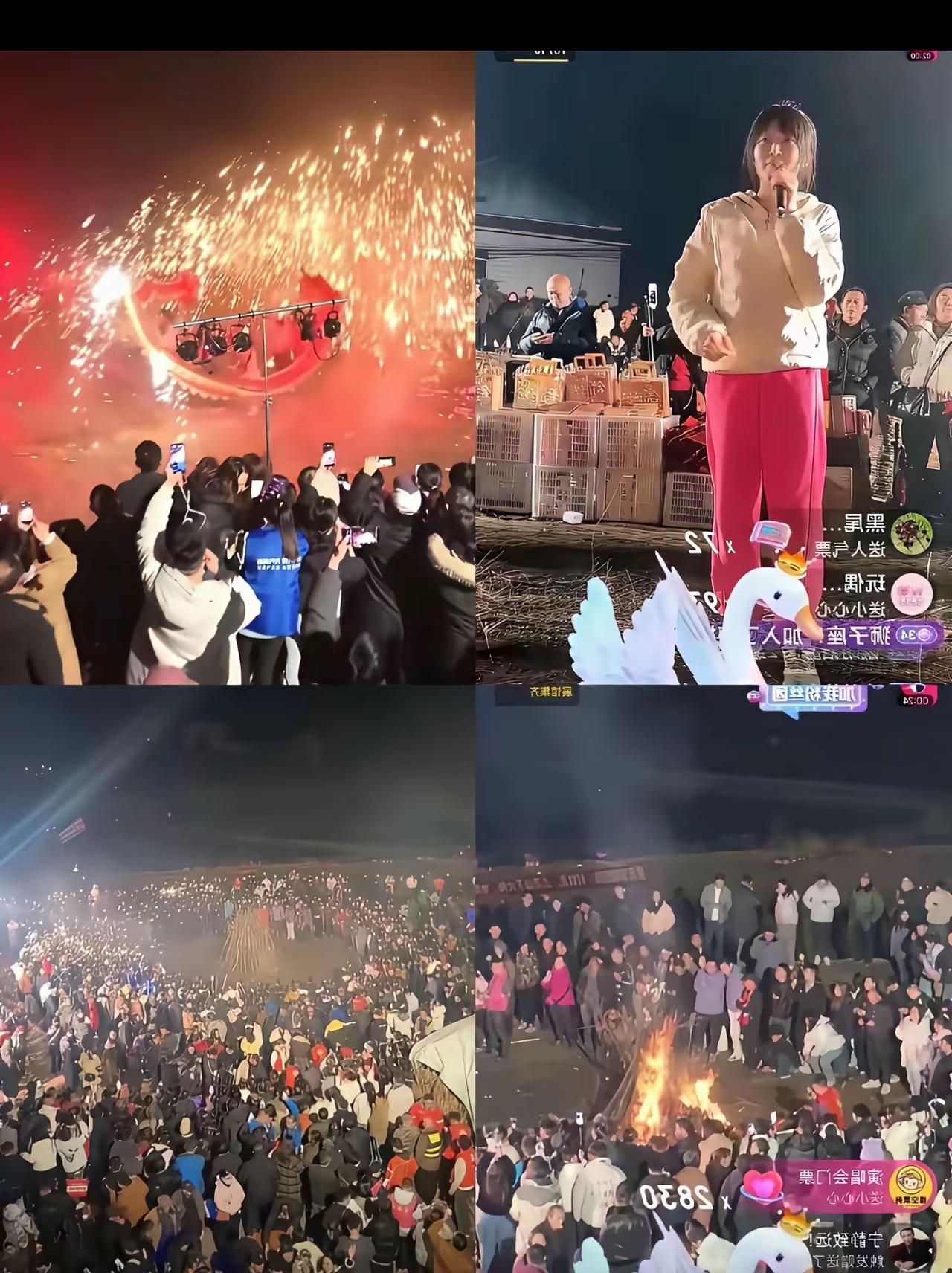 呆呆的“暴富”让不少网友眼红，这不，一美女效仿呆呆，也是两头猪，希望有送帮忙