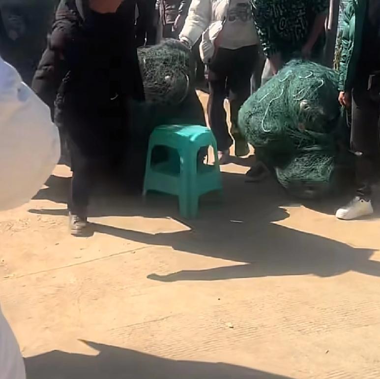 这回全国钓鱼的朋友都知道，洪家渡有个水库了贵州洪家渡水库附近有很多钓鱼的朋友，