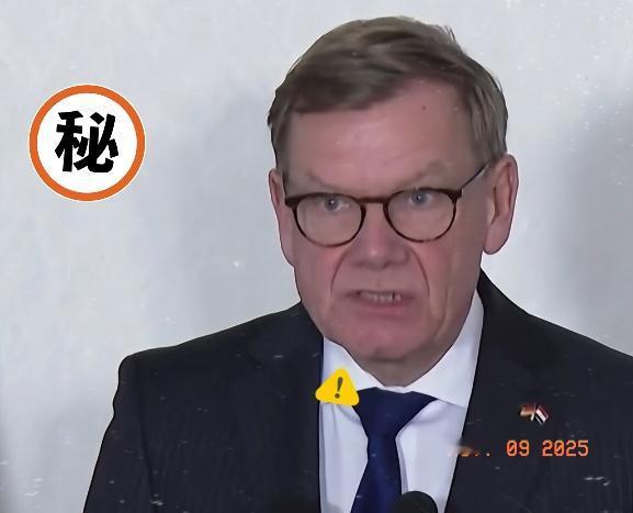 近期稀土话题上，德国外长称“用途与中国无关”，咱外交部随后就针对性反驳了！德