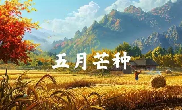 今年夏天会有多热？老话说“白天芒种热死牛，晚上芒种凉飕飕”，今年芒种在几点？早了
