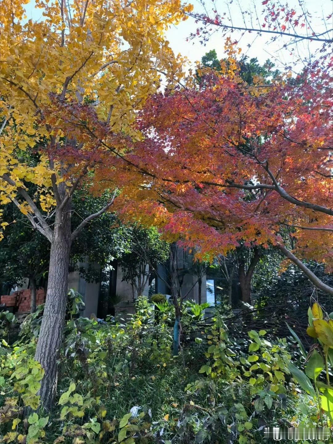 还好吧，不算多。每天下午3点30放学，大概要到3点40出来，4点钟到家，到家