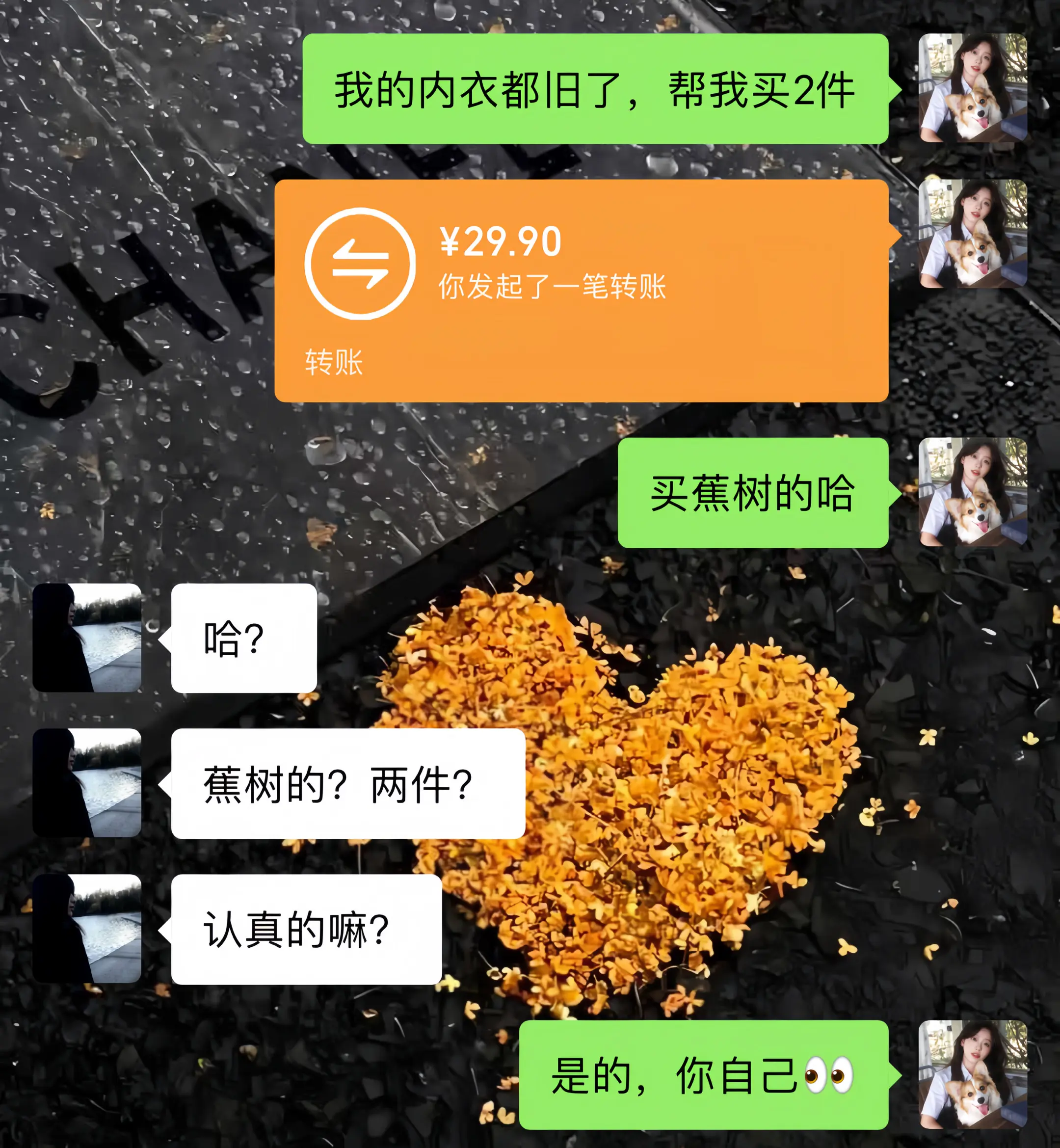送女生礼物  内衣 蕉树