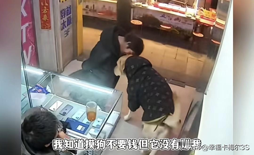 流浪大哥四天没吃饭，却愿花十块钱摸小狗原因让人破防有个带狗上班的老板，偶遇