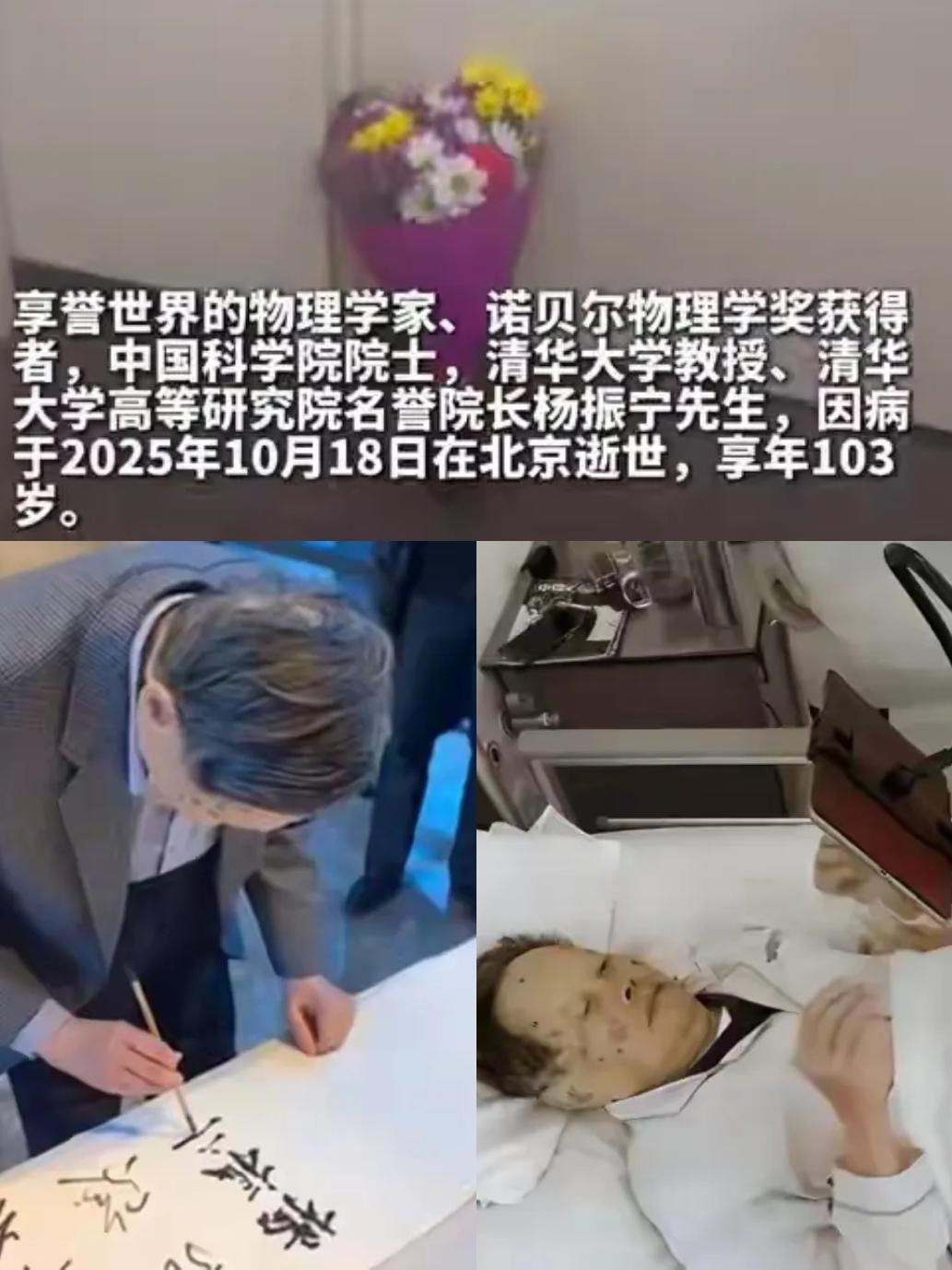 杨振宁先生离世后，翁帆的悼念文让人动容，不少人又翻出旧话：她28岁嫁82岁，如今