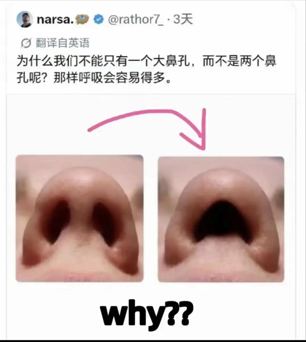 呼吸是容易了，但这颜值谁敢靠近啊？