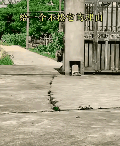 这个毛孩子非常会过日子，看它嘴里叼的这个东西，像是从水里头抓出来的，抓到了这样的