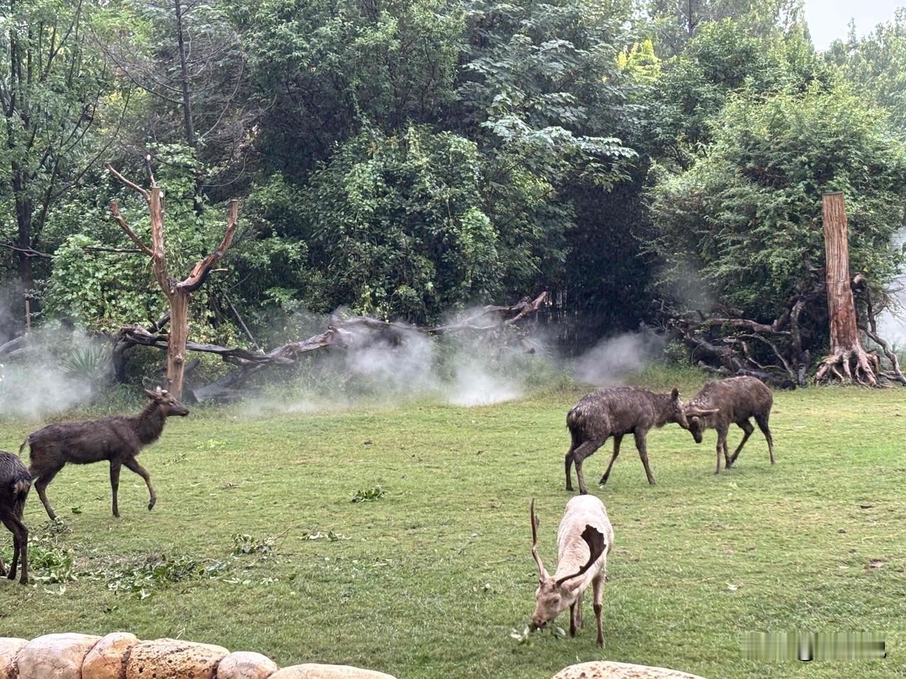 你品，你细品——所谓“财侣法地”，从来都不是一句空话，而是把穷人和富人的修行门槛